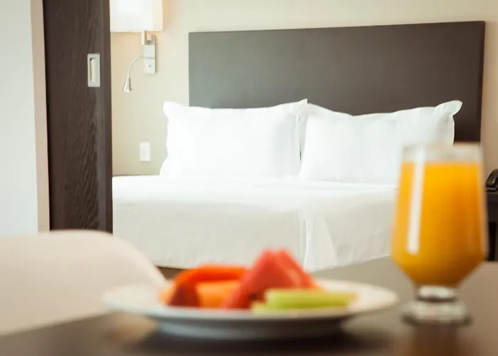 Hotel Fiesta Periferico Sur Mexico City