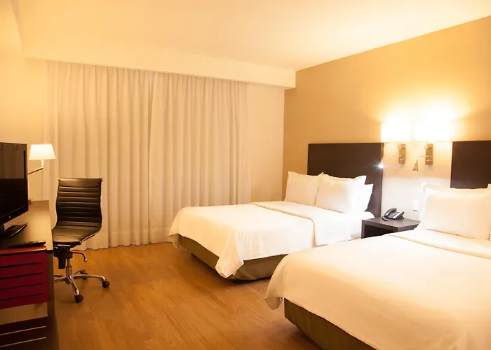Hotel Fiesta Periferico Sur 4*